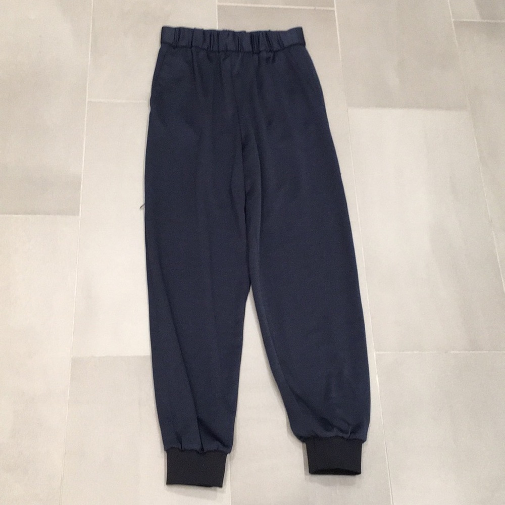 Tibi Sculpt Jogger Pants